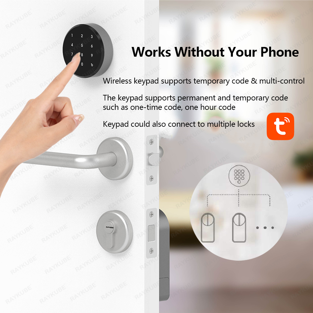 RAYKUBE A1 Pro Tuya BEL Intell – Smart Door Lock Wifi Bewertung und Preis