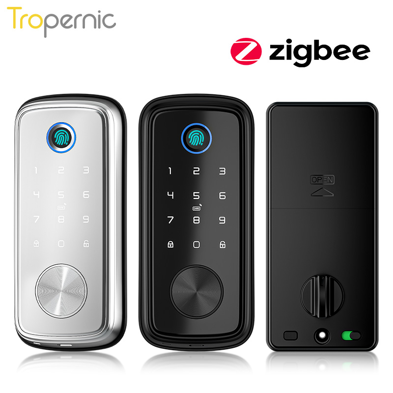 Tuya ZigBee Tür Riegel Schlöss – Smart Door Lock Wifi Bewertung und Preis